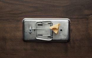 piece of cheese in metal mousetrap concept